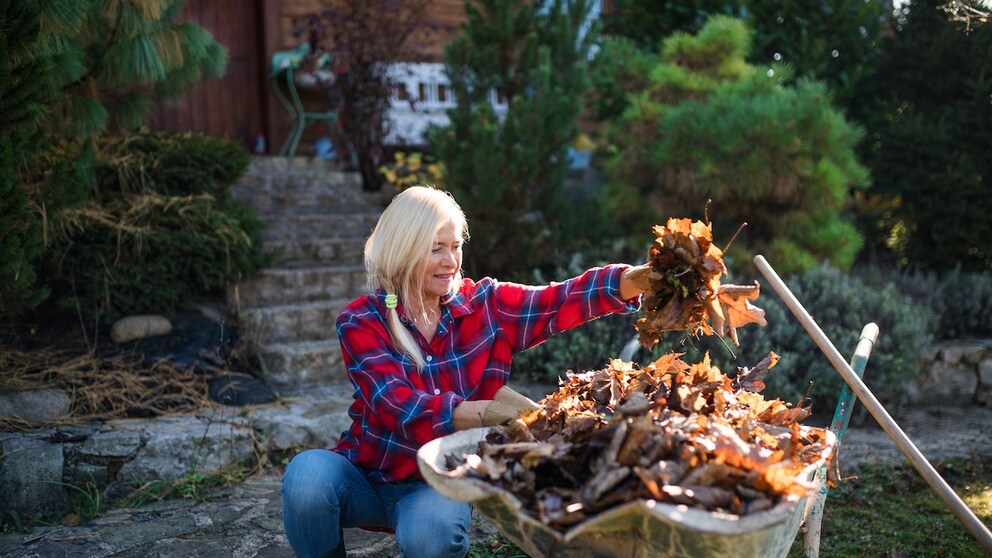 Das Laub im Garten sollte über den Winter nicht einfach liegen bleiben