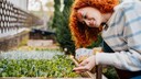 Slow Gardening