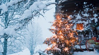 Wir träumen von weißen Weihnachten, doch meist sind sie eher grün. Die Erklärung gibt eine Reise in die Vergangenheit.