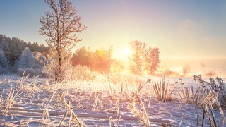 Ein weißer und heller Januar weckt laut Bauernregel die Hoffnung auf einen warmen Sommer