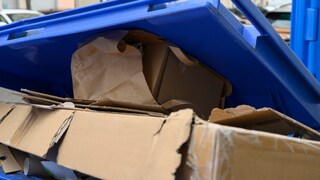 Papiertonne voll