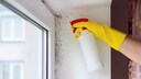 Schimmel an der Wand