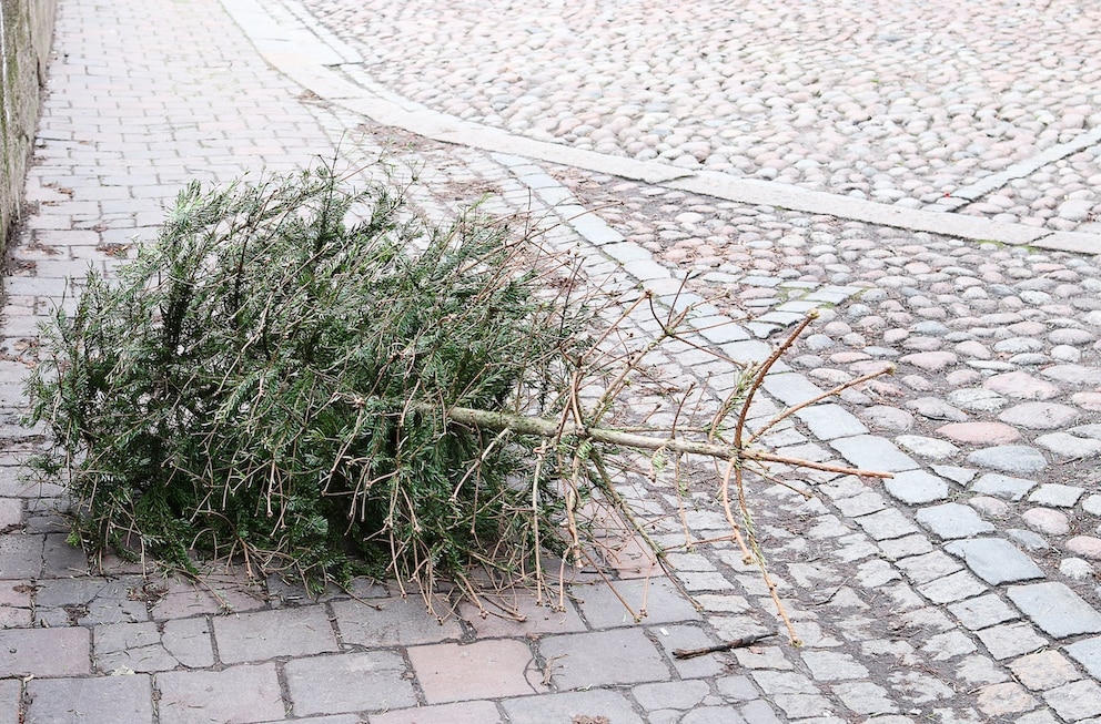 Weihnachtsbaum auf Stra&szlig;e