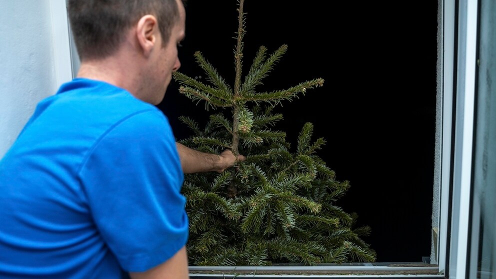 Weihnachtsbaum aus Fenster werfen