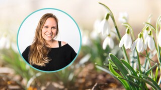 Wenn endlich die Gartensaison startet, sind ein paar Dinge im Garten zu erledigen
