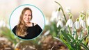 Wenn endlich die Gartensaison startet, sind ein paar Dinge im Garten zu erledigen