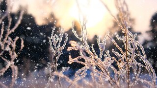 Es gibt Bauernregeln im Februar, die Aufschluss über das kommende Wetter geben
