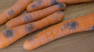 Durch dunkle Flecken sehen Karotten schnell unappetitlich aus. Kann man sie trotzdem noch verzehren?