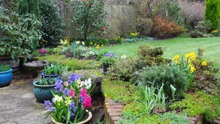 Der März bringt den Frühling zurück in den Garten