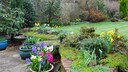 Der M&auml;rz bringt den Fr&uuml;hling zur&uuml;ck in den Garten