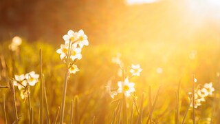 Bedeutet ein schöner März, dass es auch so freundlich weitergeht?
