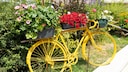 Alte Fahrr&auml;der lassen sich mit passenden Blumen wunderbar ein das Gartenambiente einf&uuml;gen