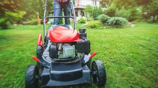 Rasen mähen im Frühjahr