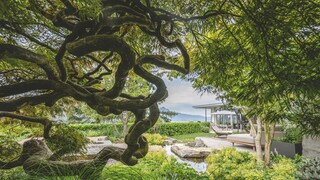 Schönster Garten 2026