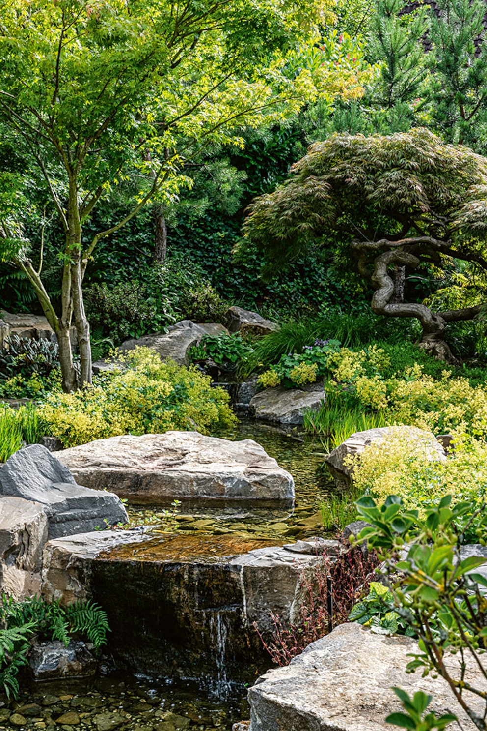 Sch&ouml;nster Garten 2026