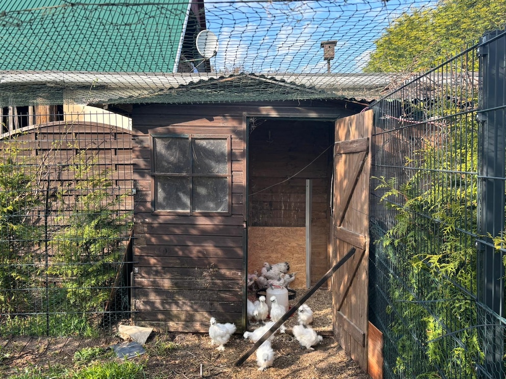 Ein H&uuml;hnerstall ist notwendig, damit die Tiere auch nachts einen sicheren R&uuml;ckzugsort haben.