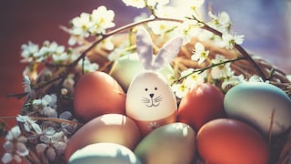 Ein sonniger Ostermontag soll laut Bauernregel auf einen fruchtbaren Sommer hindeuten