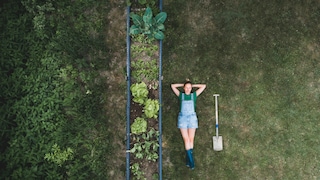Unterschied zwischen Kleingarten und Erholungsgarten