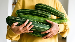 Wer eine übergroße Zucchini noch verarbeiten möchte, sollte dabei etwas beachten.