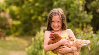 Welche Gründe sprechen dafür, als Familie Hühner im eigenen Zuhause zu halten?