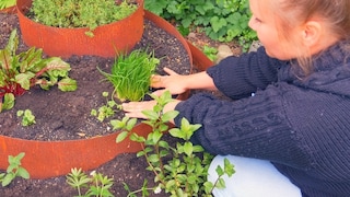 Eine Kräuterspirale sieht nicht nur hübsch aus, ihr Aufbau hat eine bestimmte Funktion