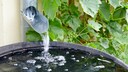Regenwasser sammeln