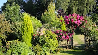 Wo Blüten ranken und Farben fließen, wird der Garten zu einer romantischen Kulisse