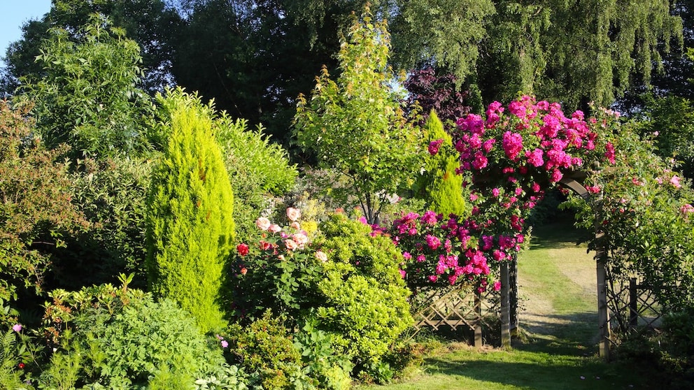 Wo Blüten ranken und Farben fließen, wird der Garten zu einer romantischen Kulisse