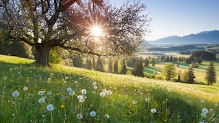 Das Wetter am Johannistag soll den Sommer vorhersagen
