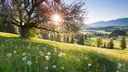 Das Wetter am Johannistag soll den Sommer vorhersagen