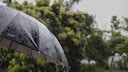 Laut Bauernregel soll der Medardustag das Wetter f&uuml;r die kommenden Wochen vorhersagen