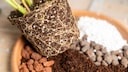 Perlite, Vermiculite und Zeolith z&auml;hlen zu den Bodenverbesserern