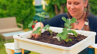 Mit einem Kinderhochbeet kann man unseren Kleinsten die Natur näherbringen und spielerisch erklären