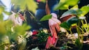 Wer regelm&auml;&szlig;ig pflanzt, sollte bei der Wahl der Blumenkelle nicht nur auf den Preis achten.
