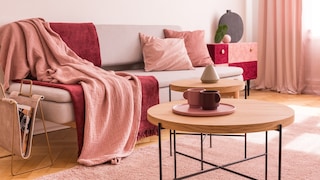 Pink Rot Einrichtung