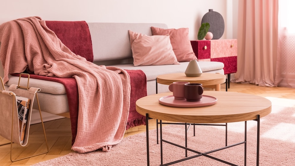 Pink Rot Einrichtung