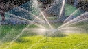 Rasen Hitze bew&auml;ssern