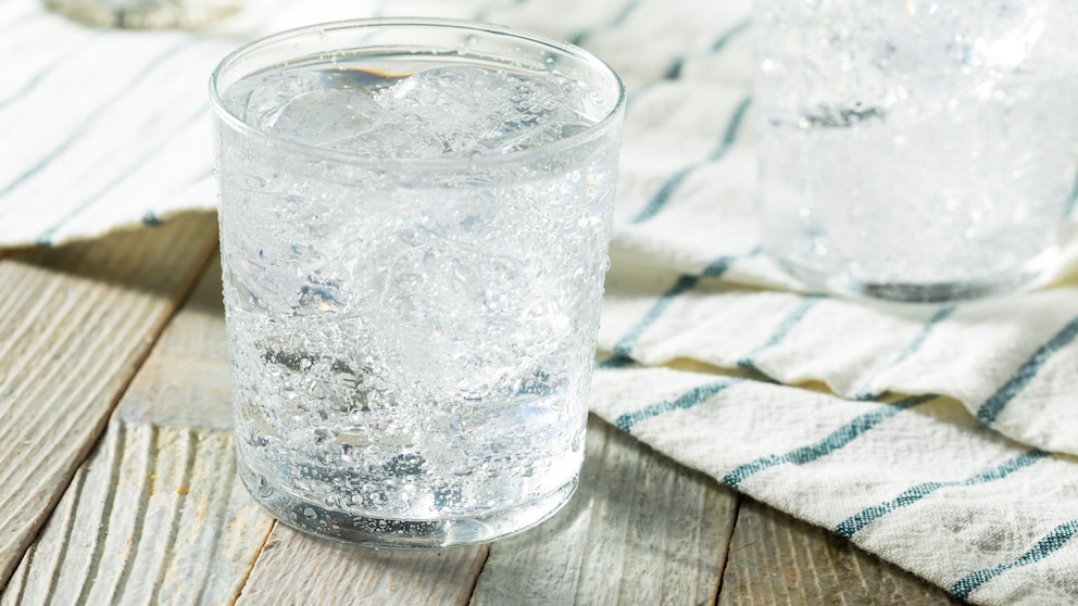 Wassersprudler sind im Haushalt noch immer sehr beliebte Geräte, doch wie findet man das passende für sich?