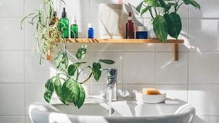 Im Badezimmer sollte man mindestens einmal in der Woche gründlich reinigen