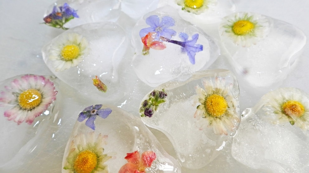 Eiswürfel Ideen