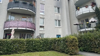 schwarze flecken fassade Fenster
