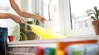Staub wischen Trick