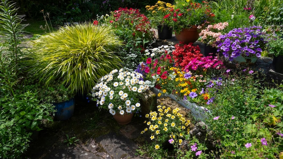Topfgarten
