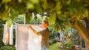 M&ouml;chte man im Sommer W&auml;sche drau&szlig;en aufh&auml;ngen, sollte man immer die Sonne im Blick behalten
