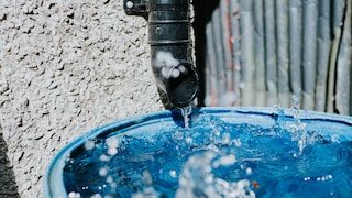 Sauberkeit ist auch beim gesammelten Regenwasser wichtig. Doch wie oft muss die Regentonne gereinigt werden?