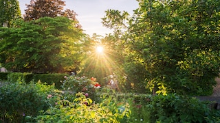 Mit Schwammgärten lässt sich die eigene Grünfläche für alle möglichen Temperaturen wappnen