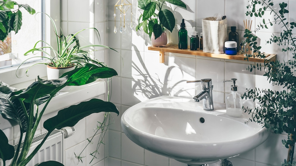 Im Badezimmer sollte man mindestens einmal in der Woche gründlich reinigen