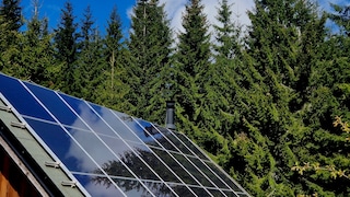 Wenn der Baum des Nachbarn die eigene Solaranlage beschattet, kann das schon mal zum Konfliktfall führen (Symbolbild)