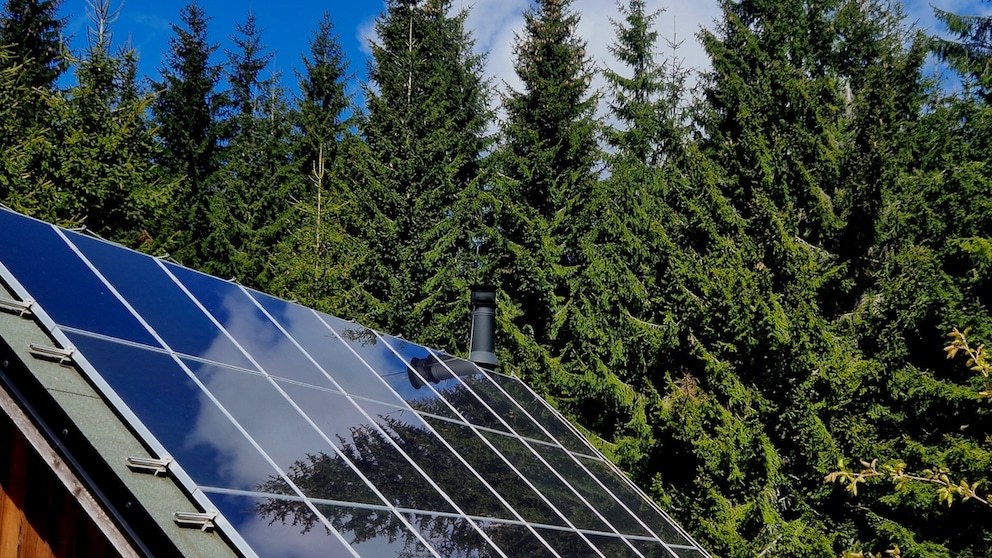 Wenn der Baum des Nachbarn die eigene Solaranlage beschattet, kann das schon mal zum Konfliktfall führen (Symbolbild)