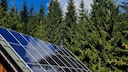 Wenn der Baum des Nachbarn die eigene Solaranlage beschattet, kann das schon mal zum Konfliktfall f&uuml;hren (Symbolbild)